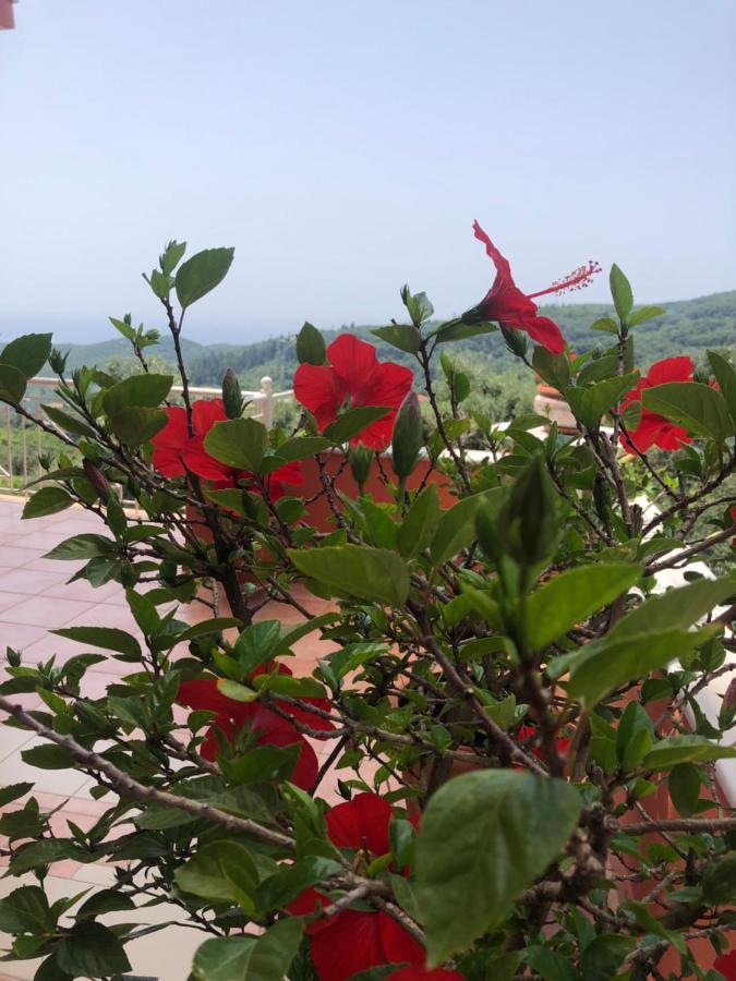 Appartement Spyridonou House à Parga Extérieur photo